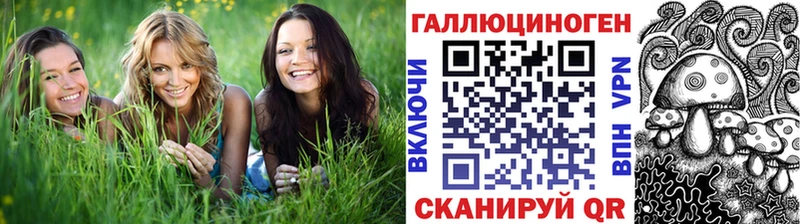 Псилоцибиновые грибы Psilocybe  Купить  Алушта 
